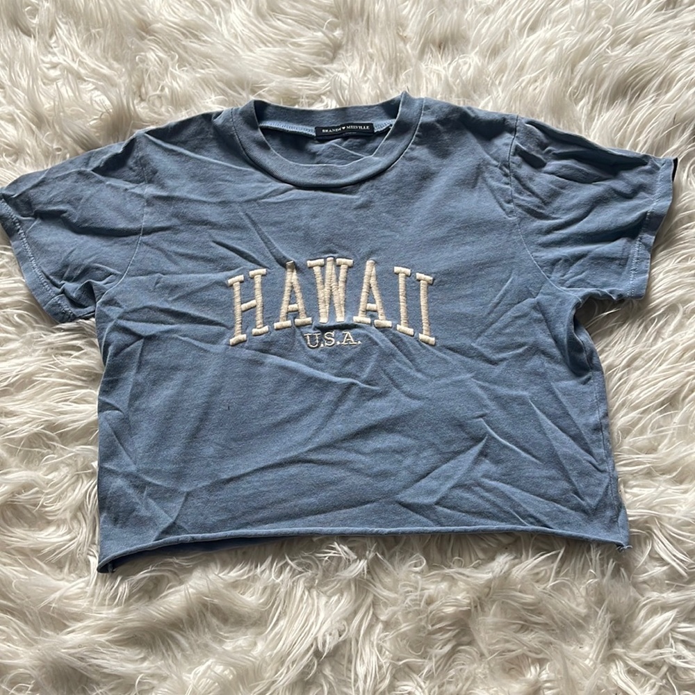 Brandy Melville cropped Hawaii Shirt